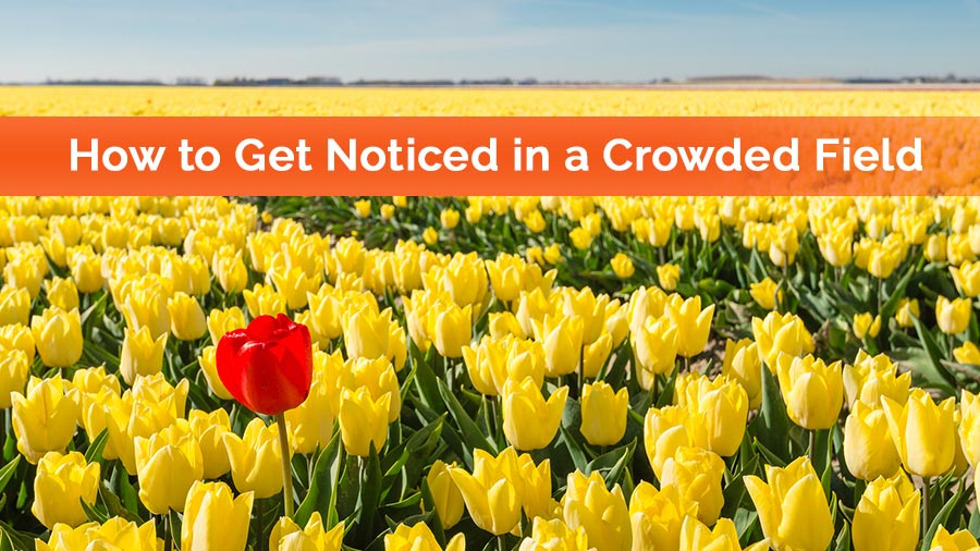 How to get noticed in a crowded field
