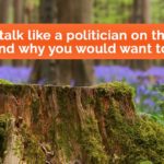 How to talk like a politician