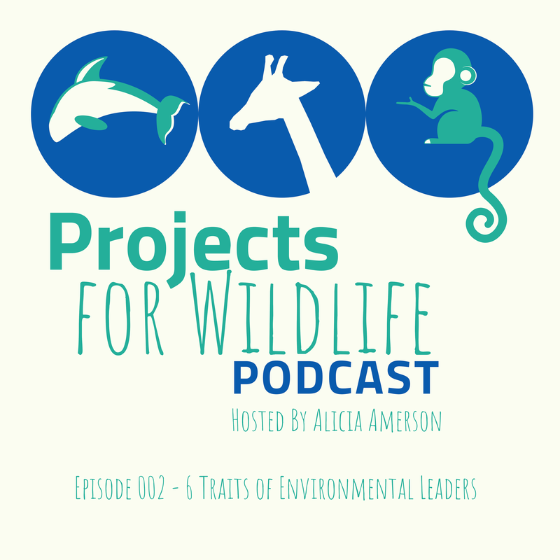 Interview with Projects for Wildlife Podcast: Six Traits to Grow Your Environmental Leadership Impact | Speaking Your Brand
